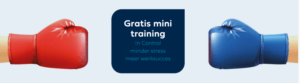 basis voor structuur in je bedrijf